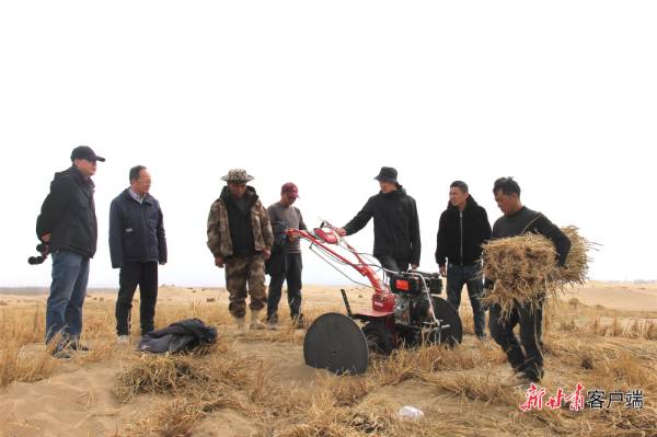 1744262463797510.jpg 7 (1).jpg