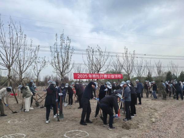 1744262946541774.jpg 1.jpg