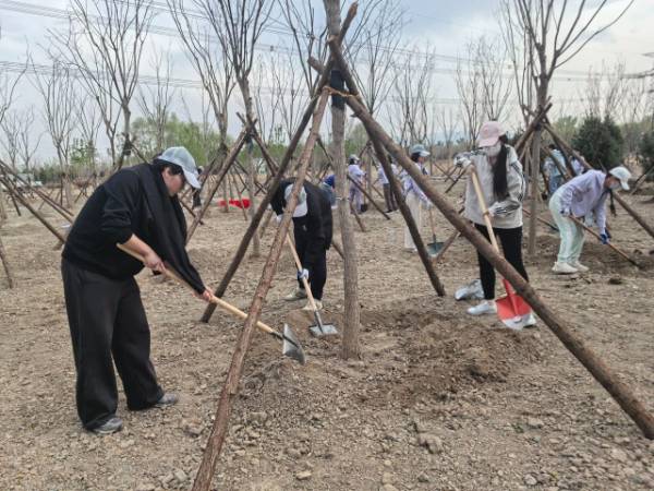 1744262975508016.jpg 3.jpg