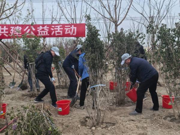 1744262978799385.jpg 4.jpg