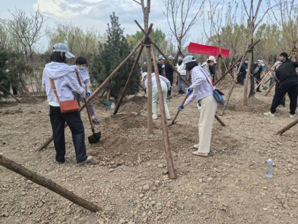 1744262982930269.jpg 5.jpg