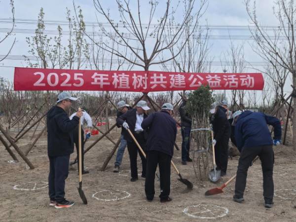 1744262987286950.jpg 6.jpg