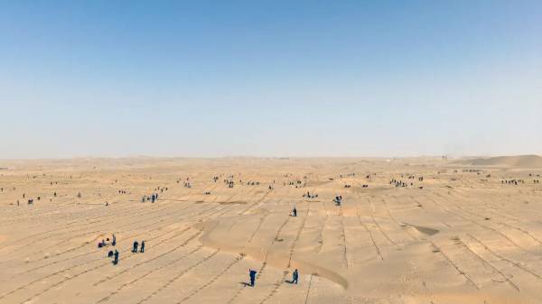 1744263437924825.jpg 3.jpg