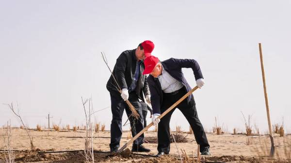 1744263446515663.jpg 4.jpg