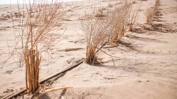 1744263455838224.jpg 5.jpg