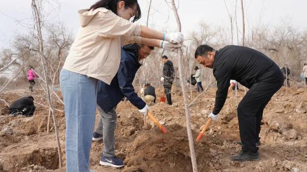 1744263691397342.jpg 15.jpg