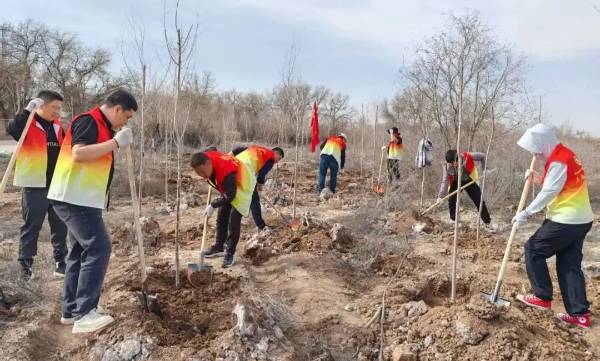 1744263699809623.jpg 16.jpg