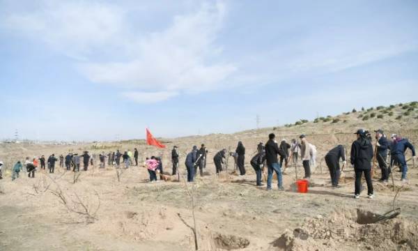 1744275577749135.jpg 1 (1).jpg