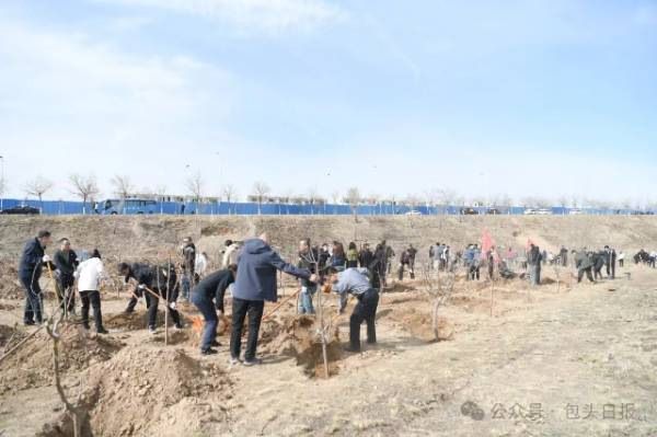 1744275580467921.jpg 2 (1).jpg