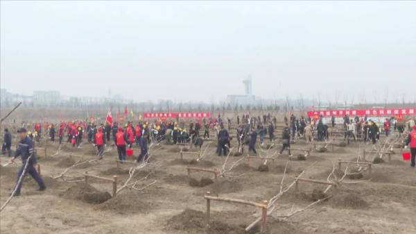 1744337369214721.jpg 7.jpg