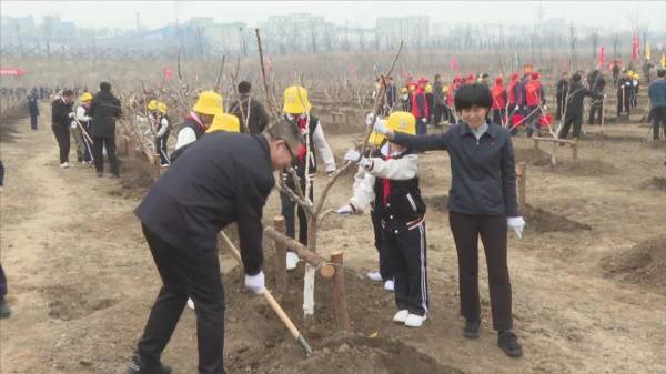 1744337405412392.jpg 8.jpg