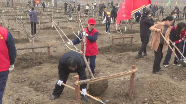 1744337409324091.jpg 9.jpg