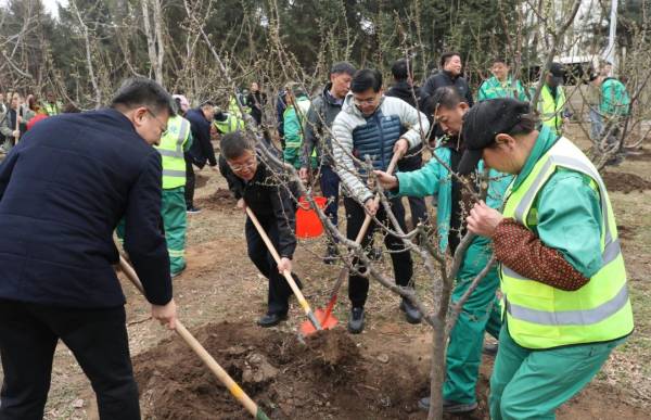 1744340231196317.jpg 13.jpg