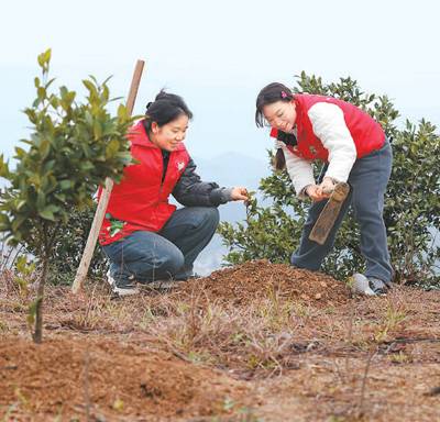 1744348728495035.jpg 222.jpg