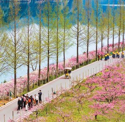 1744348734828470.jpg 333.jpg