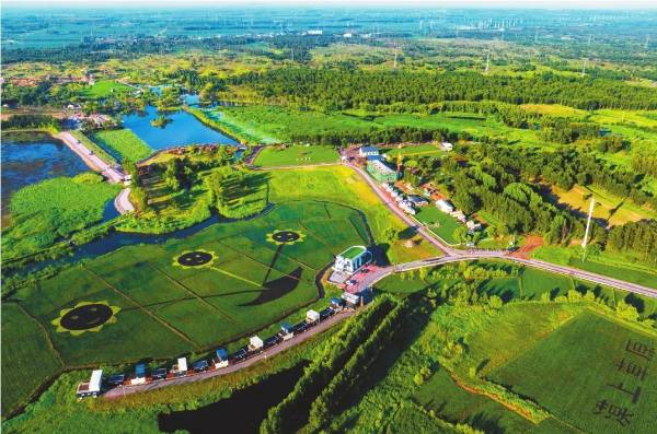 1744348963787764.jpg 444.jpg