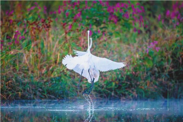 1744348995605982.jpg 777.jpg