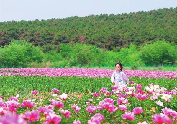 1744349001870833.jpg 888.jpg