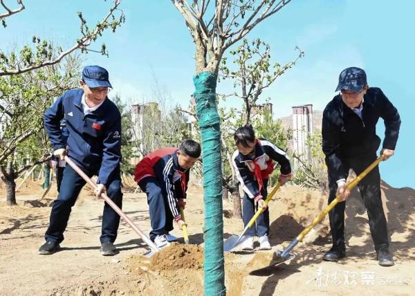 1744601660317739.jpg 1 (1).jpg