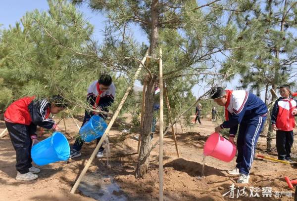 1744601673408587.jpg 2 (1).jpg