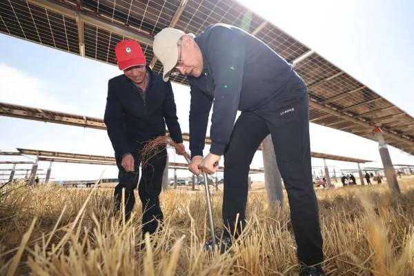 1744608143338264.jpg 1 (1).jpg