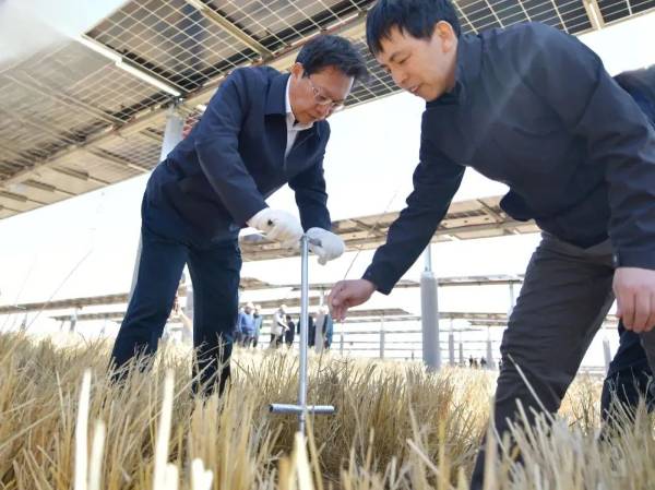 1744608149602620.jpg 2 (1).jpg