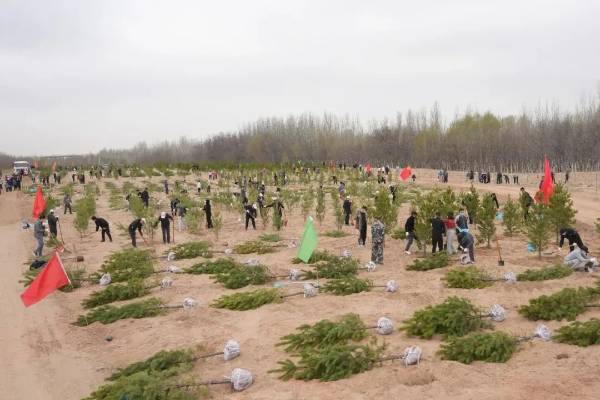 1744608165873828.jpg 4 (1).jpg