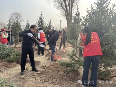 1744608382237622.jpg 6 (1).jpg