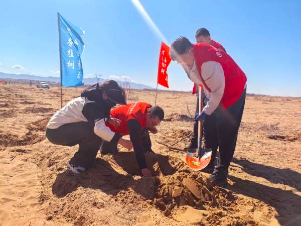 1744609242648409.jpg 2.jpg