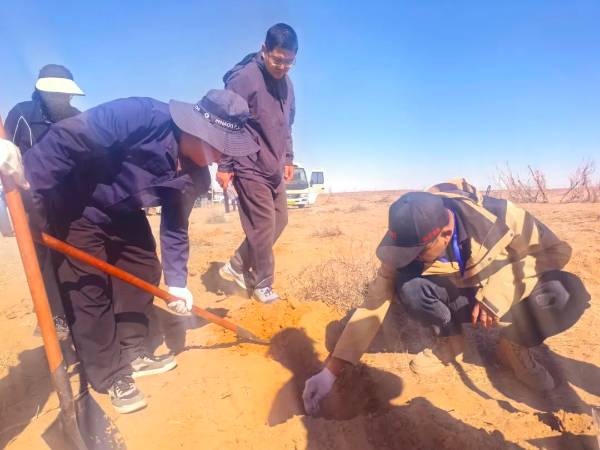 1744609247439462.jpg 3.jpg