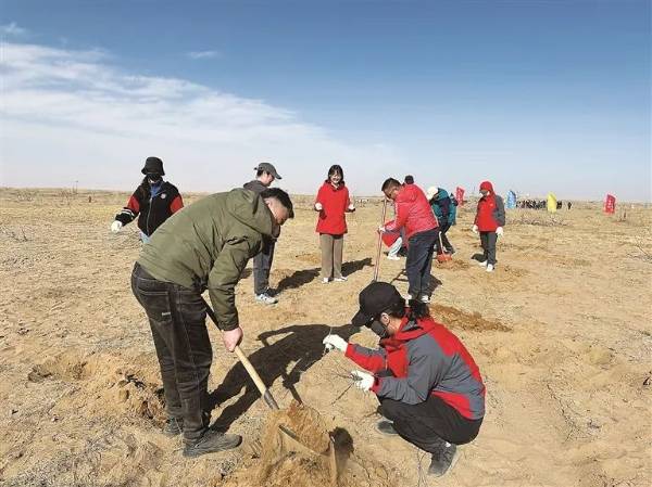 1744609253535653.jpg 4.jpg