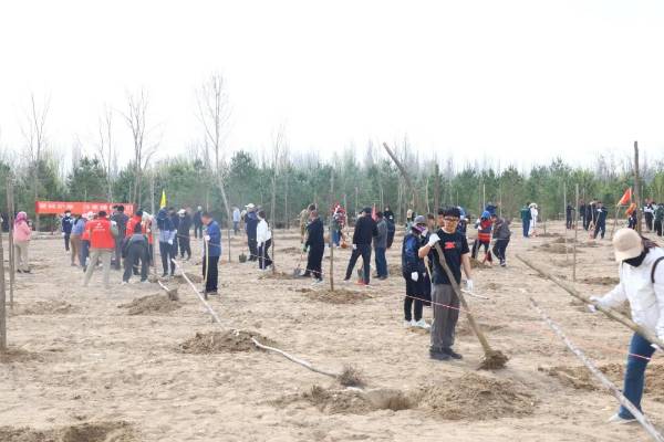 1744609837338527.jpg 1 (1).jpg