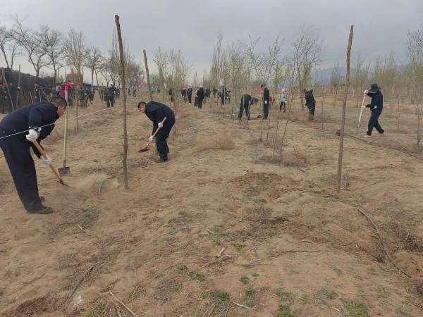 1744609844459192.jpg 2 (1).jpg