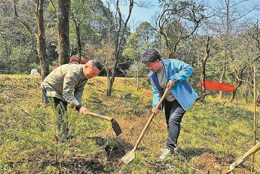 1744612622452334.jpg 1.jpg