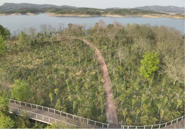 1744612738679034.jpg 8.jpg