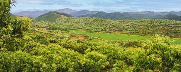 1744612780299809.jpg 11.jpg