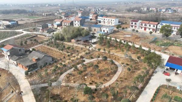 1744612788318550.jpg 12.jpg