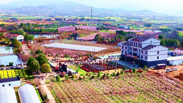 1744612795640772.png 13.png