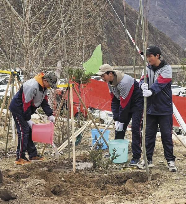 1744694500979549.jpg 1 (1).jpg