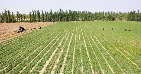 1744694968658514.png 3.png