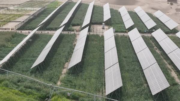 1744695132339678.jpg 5.jpg