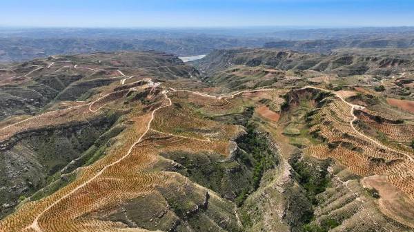 1744695474988296.jpg 6 (1).jpg