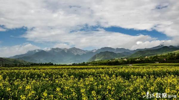 1744696677154146.png 2.png