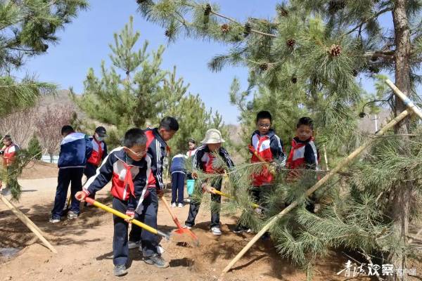 1744696724500659.png 3.png