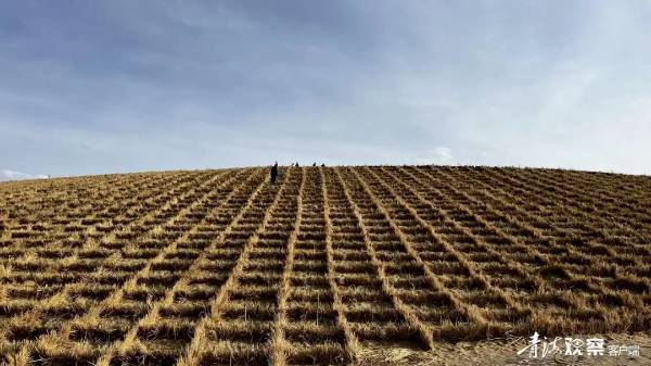 1744696777842431.png 4.png