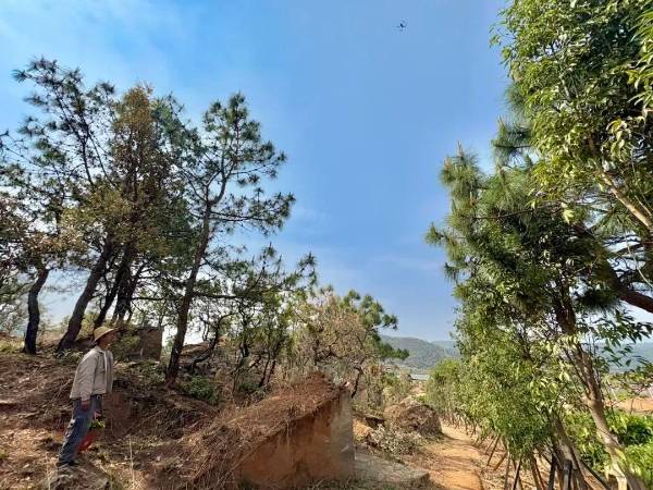 1744697027484239.jpg 5.jpg