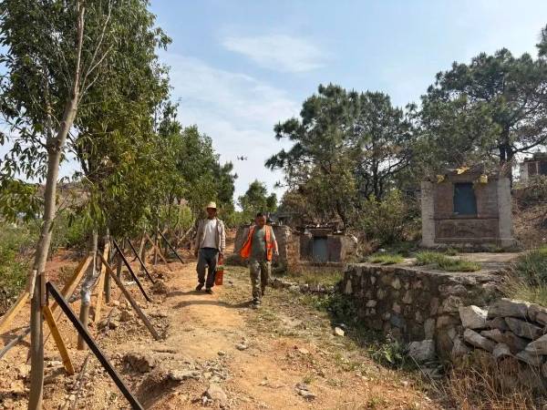 1744697040463133.jpg 7.jpg