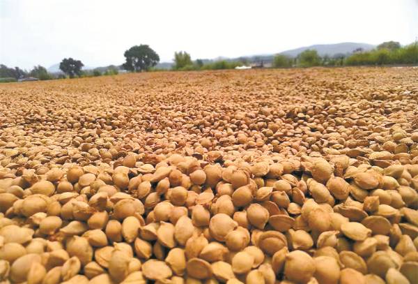 1744697211642730.jpg 11.jpg