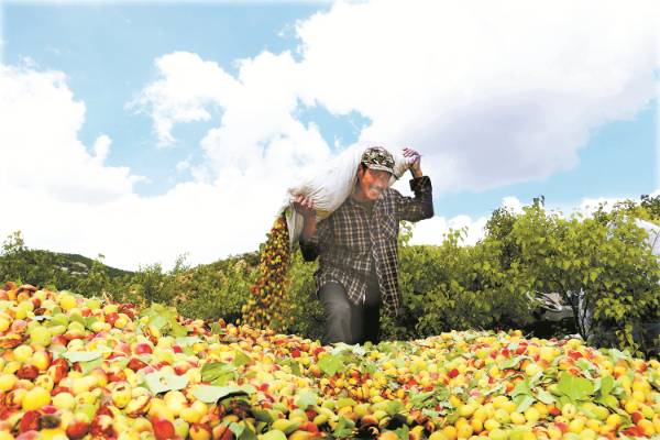 1744697219658356.jpg 12.jpg