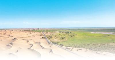 1744697383822519.jpg 13.jpg